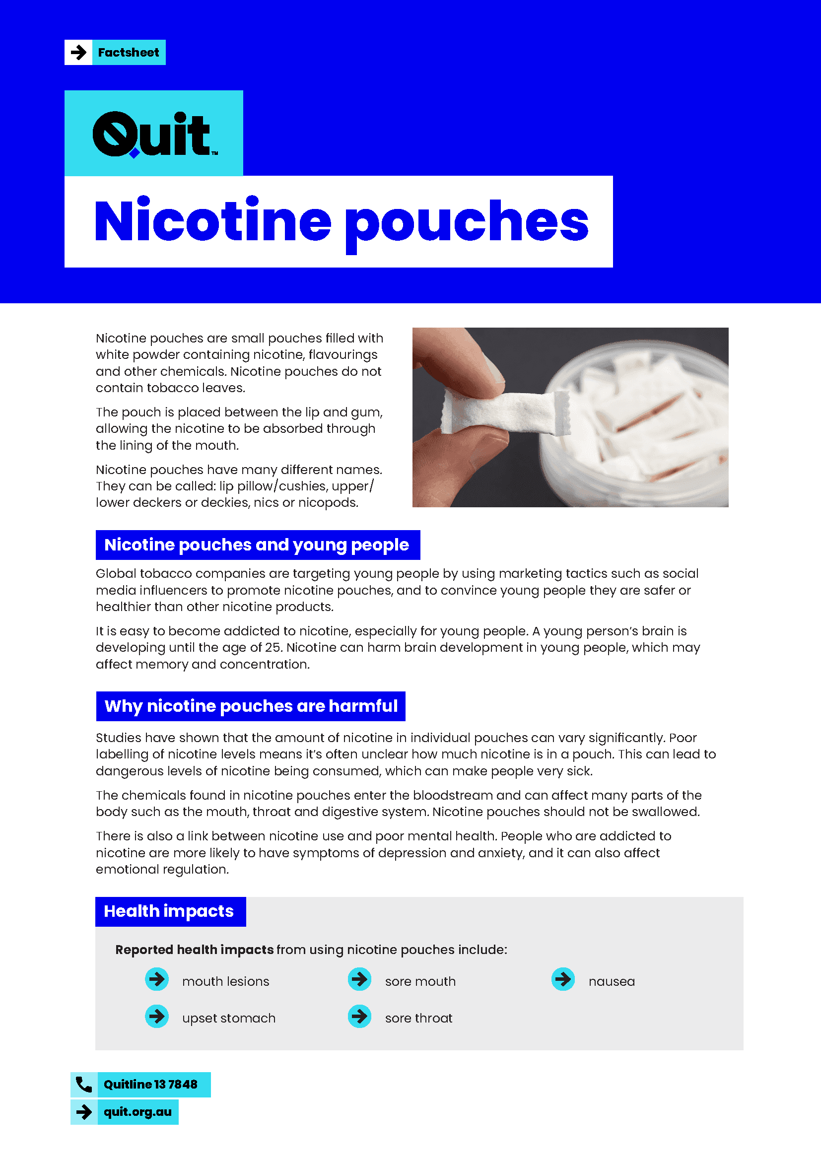 Product image for Nicotine pouches fact sheet